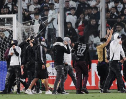 monos de colo colo